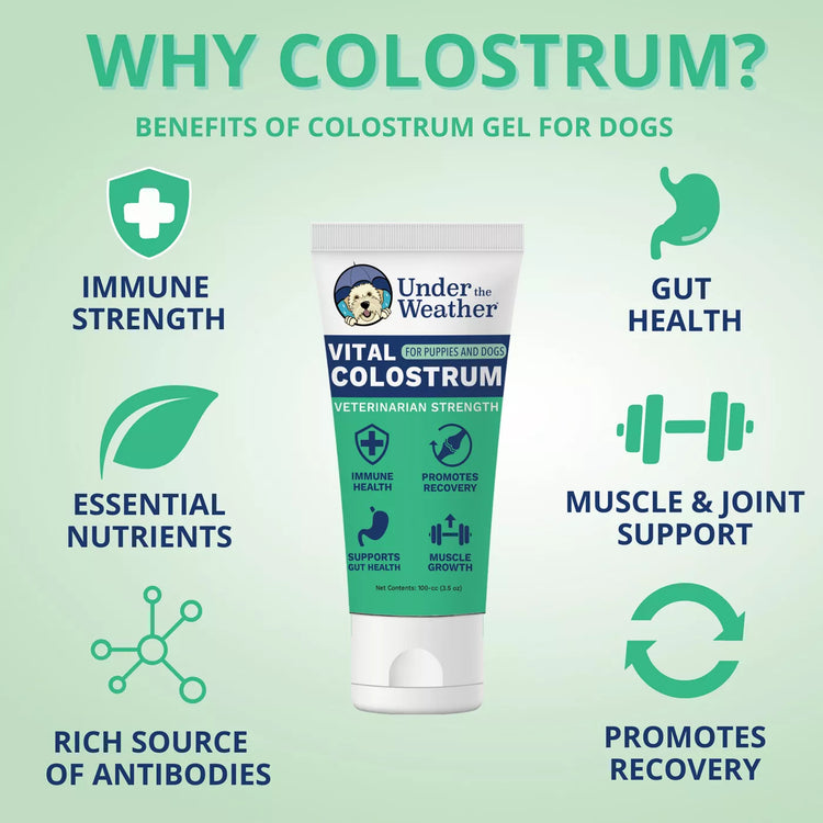 Under The Weather's Vital Colostrum for Dog