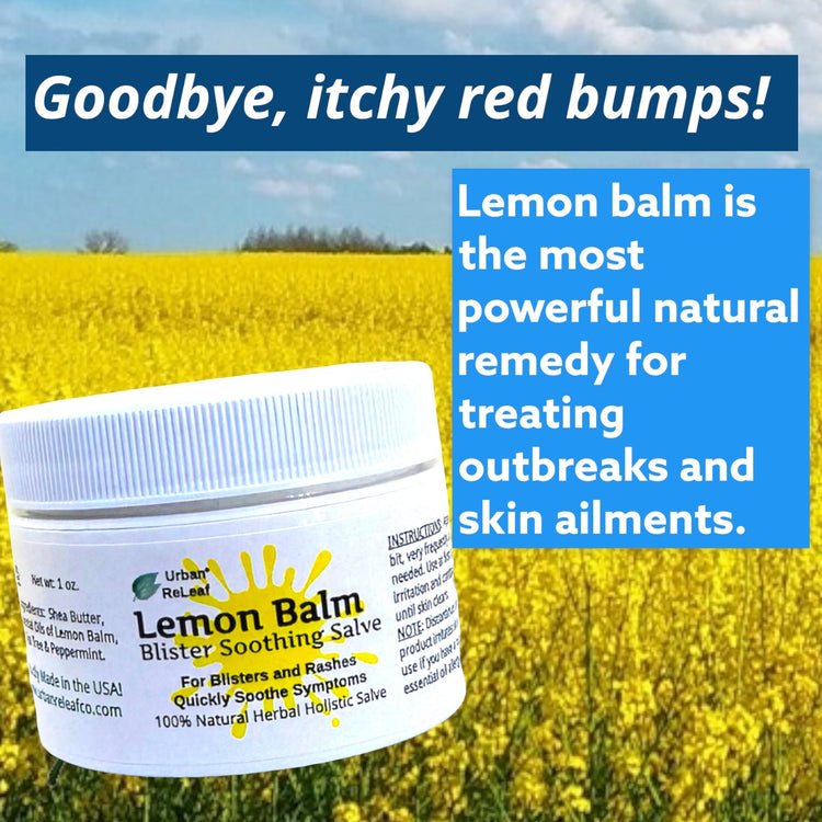 Lemon Balm Blister Soothing Salve